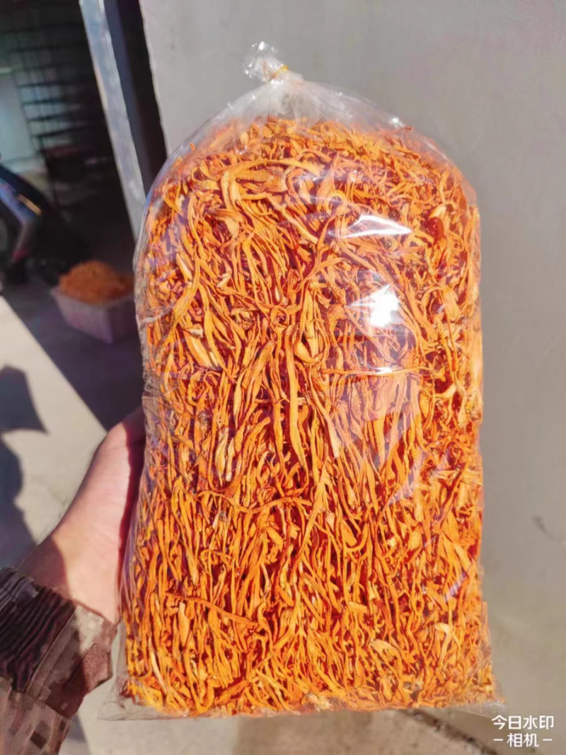 虫草花产地直销坐标李大人