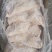 鸿运当头