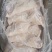 鸿运当头