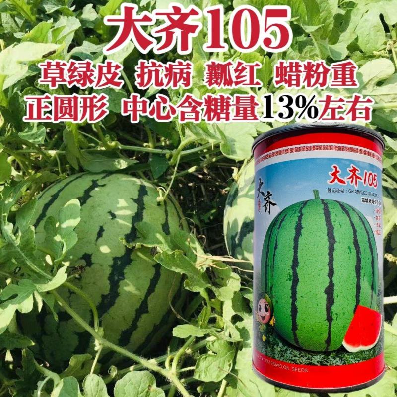 露地专用西瓜种子大齐105西瓜种子皮薄抗裂正圆花皮红瓤