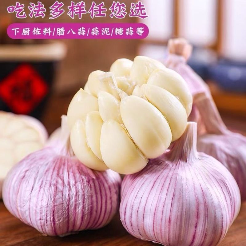 超低价】正宗山东新鲜特级大蒜特大果紫皮蒜红皮蒜水果便宜批发