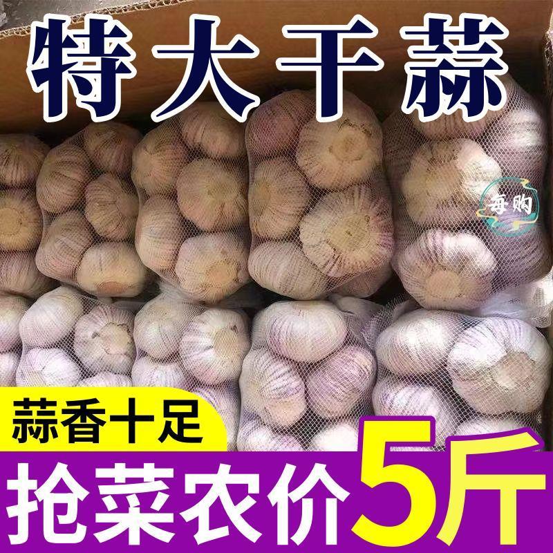 超低价】正宗山东新鲜特级大蒜特大果紫皮蒜红皮蒜水果便宜批发