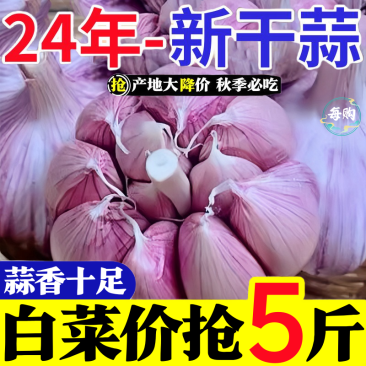 超低价】正宗山东新鲜特级大蒜特大果紫皮蒜红皮蒜水果便宜批发