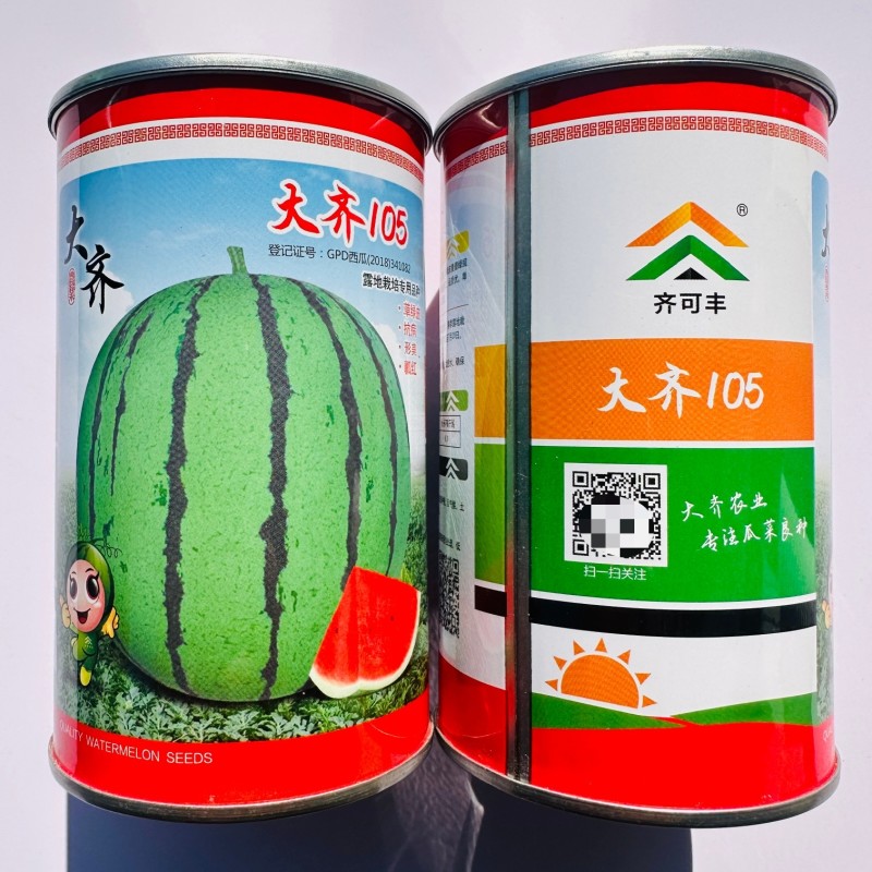 露地专用西瓜种子大齐105西瓜种子皮薄抗裂正圆花皮红瓤