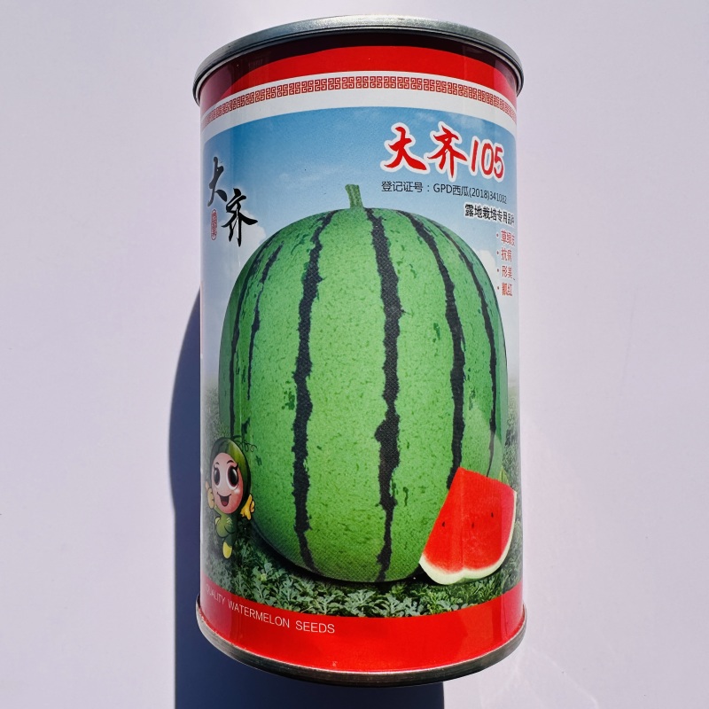 露地专用西瓜种子大齐105西瓜种子皮薄抗裂正圆花皮红瓤