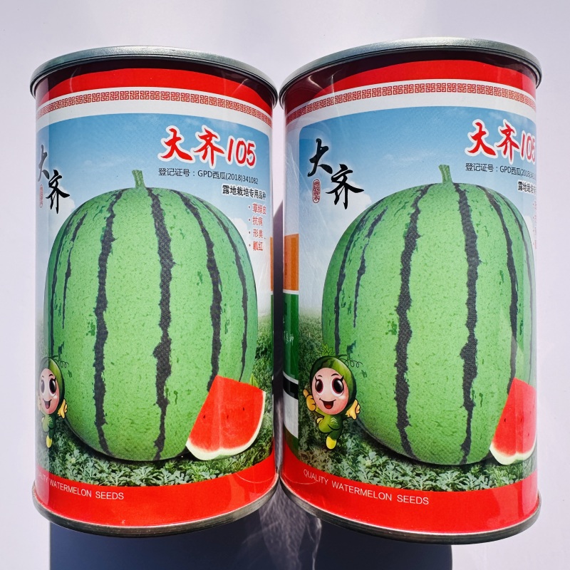 露地专用西瓜种子大齐105西瓜种子皮薄抗裂正圆花皮红瓤