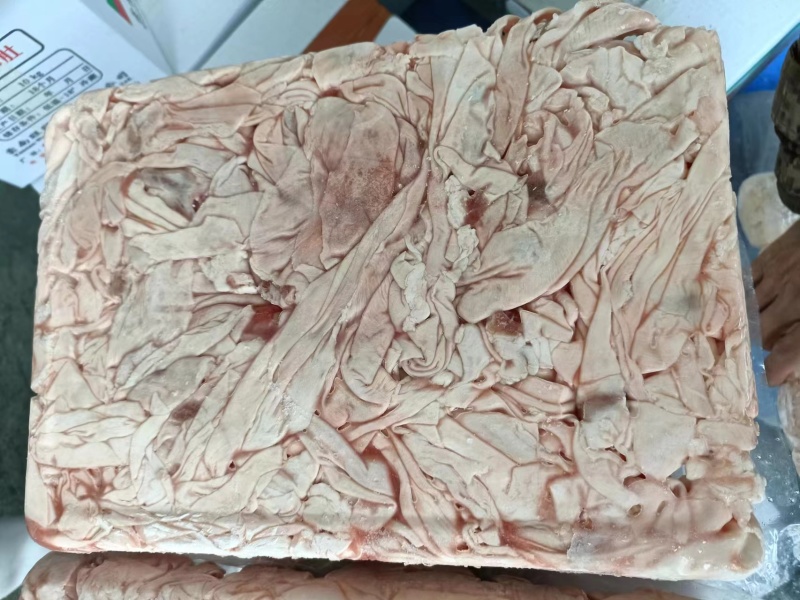 护心肉筋膜