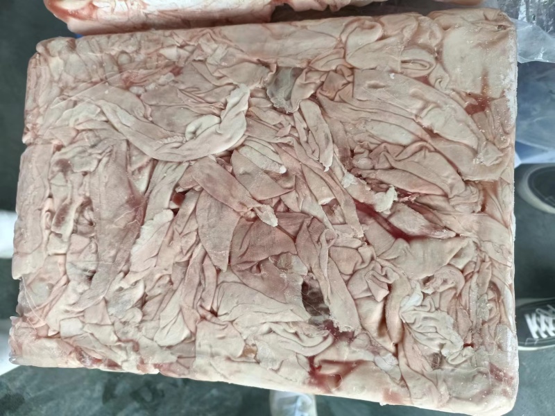 护心肉筋膜