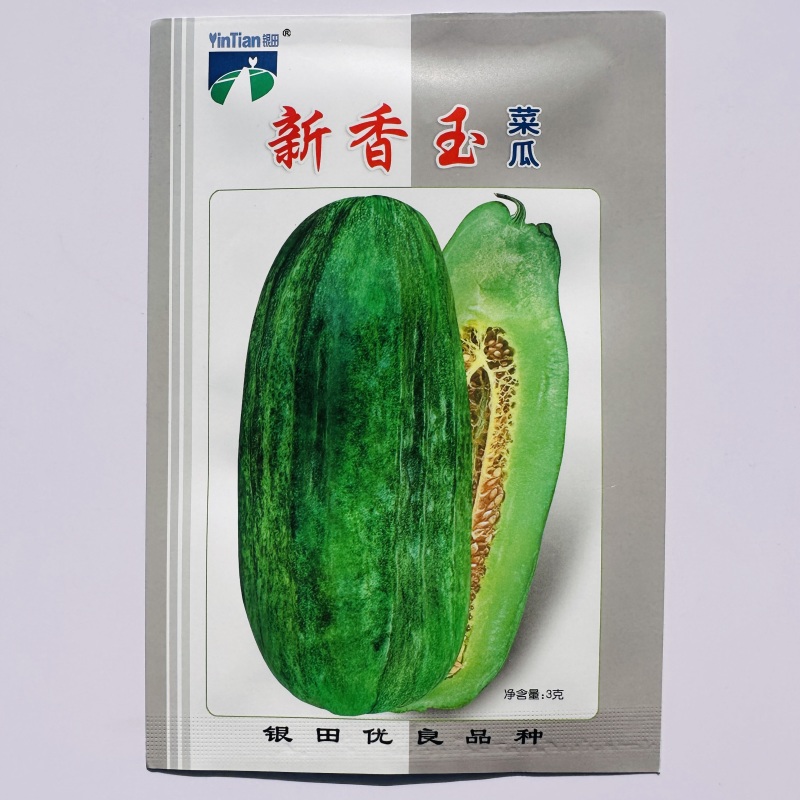 新香玉菜瓜种子味甜绿皮绿肉优质甜瓜种子清香可口甜瓜种子