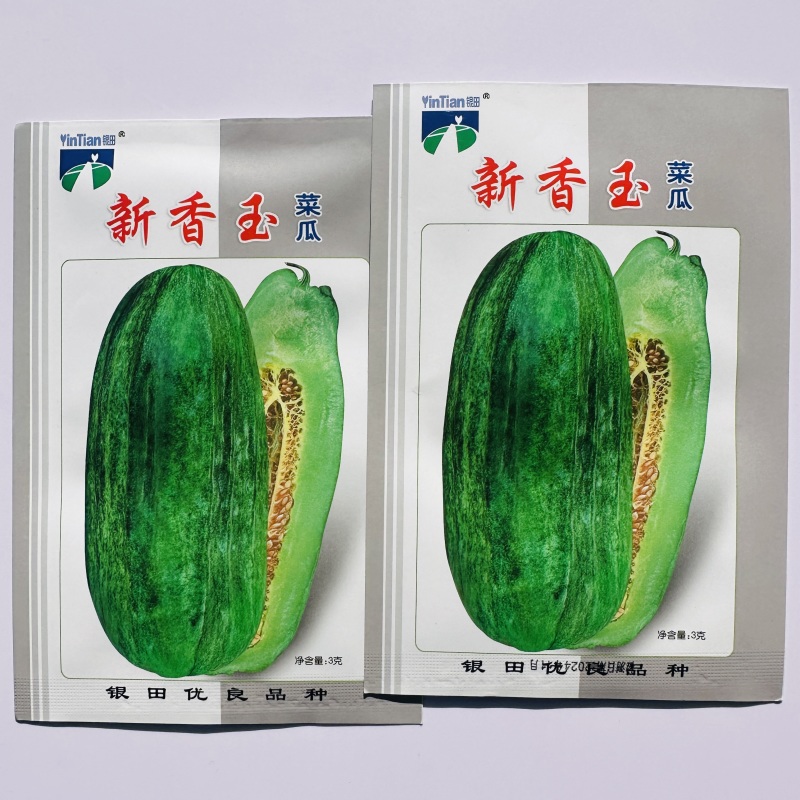 新香玉菜瓜种子味甜绿皮绿肉优质甜瓜种子清香可口甜瓜种子