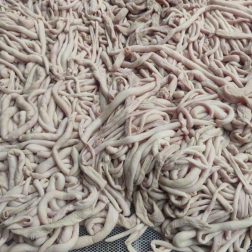 【熟食羊肚】全熟五香羔羊肠，餐饮全熟