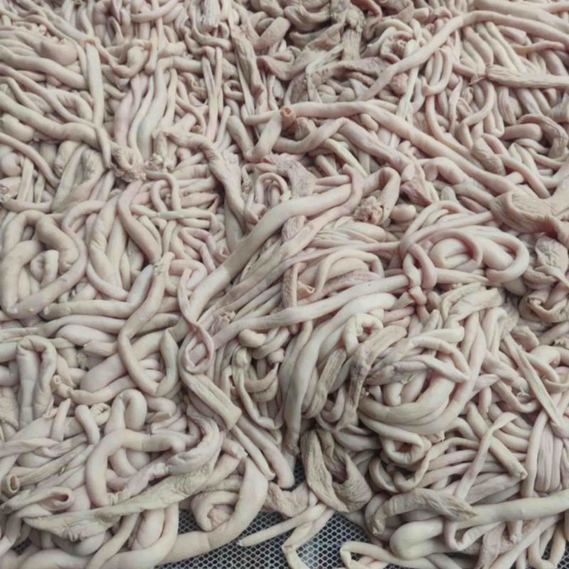 【熟食羊肚】全熟五香羔羊肠，餐饮全熟