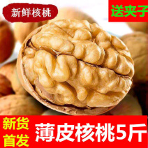 2024年新货,新疆薄皮核桃好核桃多规格干果坚果新货新鲜零食