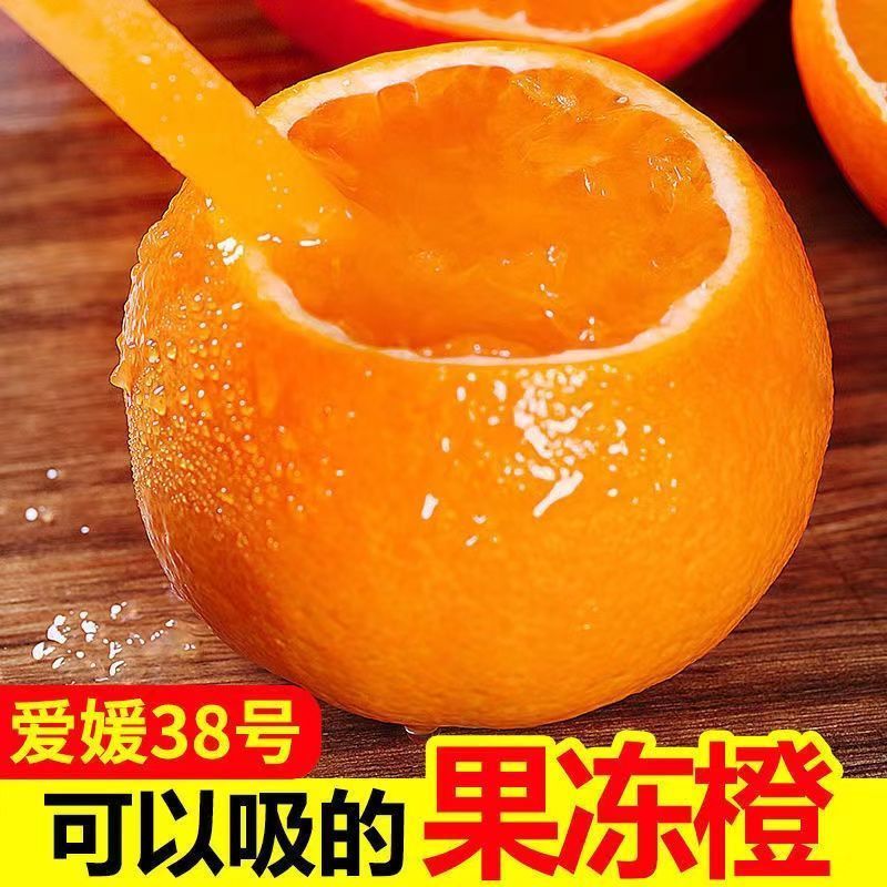 【今日优选】爱媛38号果冻橙超甜四川现摘新鲜水果薄皮橙子批发