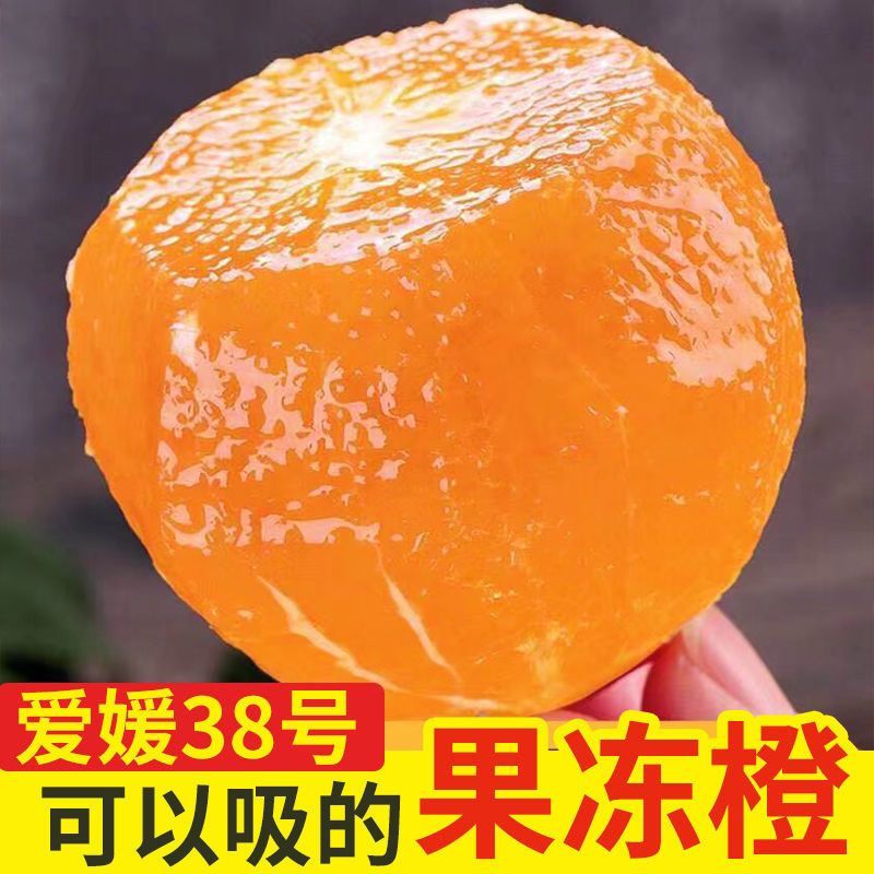 【今日优选】爱媛38号果冻橙超甜四川现摘新鲜水果薄皮橙子批发