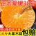 【今日优选】爱媛38号果冻橙超甜四川现摘新鲜水果薄皮橙子批发