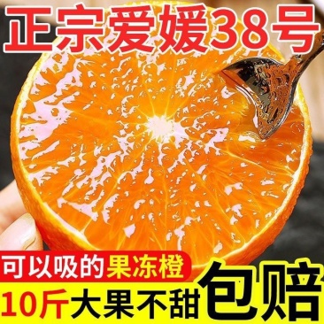 【今日优选】爱媛38号果冻橙超甜四川现摘新鲜水果薄皮橙子批发