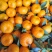 南丰蜜桔广西蜜橘蜜桔产地直供可视频看货欢迎来电采购