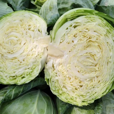 地膜铁包量大扁包菜，甘蓝货源充足，价格便宜