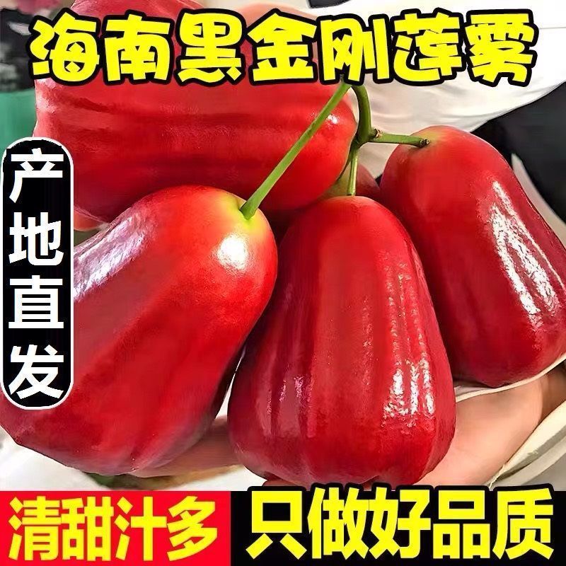 当季海南莲雾水果热带新鲜水果黑金刚莲雾果孕妇水果补水仙女果批