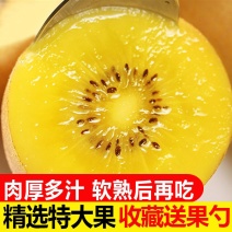 【彩箱】四川黄心猕猴桃蒲江奇异果新鲜水果应季整箱包邮非红绿心