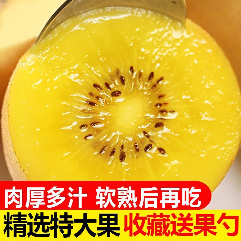 【彩箱】四川黄心猕猴桃蒲江奇异果新鲜水果应季整箱包邮非红绿心