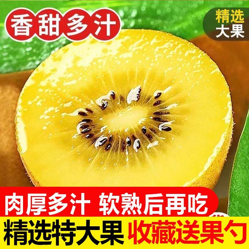 【彩箱】四川黄心猕猴桃蒲江奇异果新鲜水果应季整箱包邮非红绿心