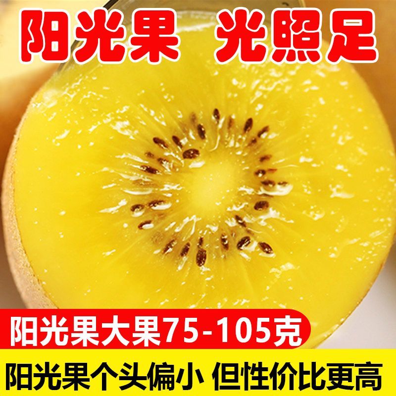 【彩箱】四川黄心猕猴桃蒲江奇异果新鲜水果应季整箱包邮非红绿心