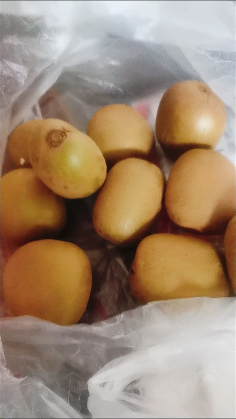 【彩箱】四川黄心猕猴桃蒲江奇异果新鲜水果应季整箱包邮非红绿心