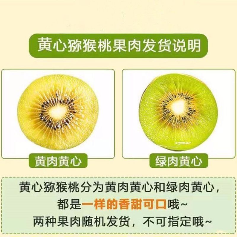 【彩箱】四川黄心猕猴桃蒲江奇异果新鲜水果应季整箱包邮非红绿心