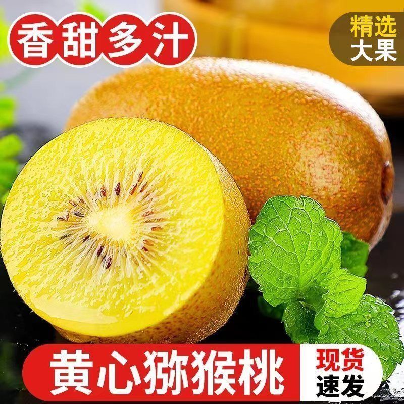 【彩箱】四川黄心猕猴桃蒲江奇异果新鲜水果应季整箱包邮非红绿心