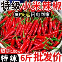【巨辣爆辣】云南现摘小米辣鲜椒特辣新鲜魔鬼辣椒朝天椒整箱批发