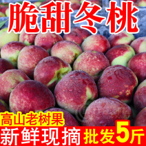 【抢购】云南冬桃现摘脆甜蜜雪冬桃毛桃新鲜水果黄桃水蜜油桃整箱