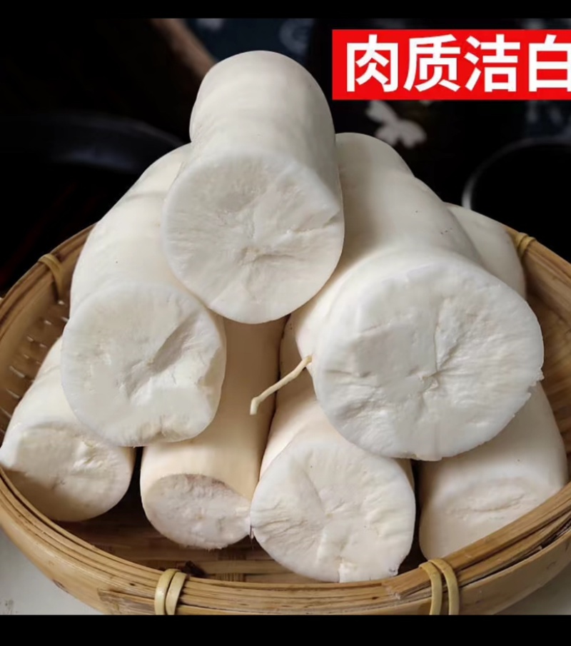 面包木薯