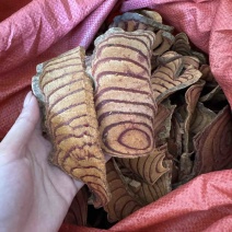 批发云南鸡血藤