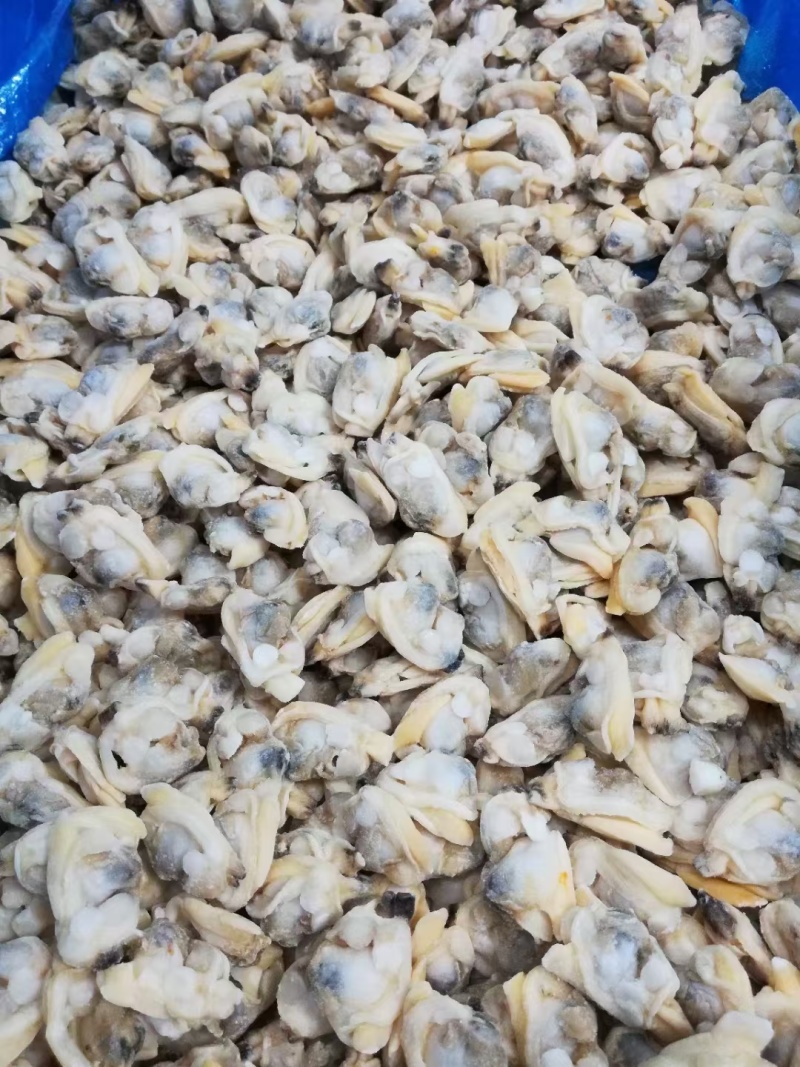 河蛤肉，西吉米肉，淡水蚬子肉，河蚬子肉，西吉米肉