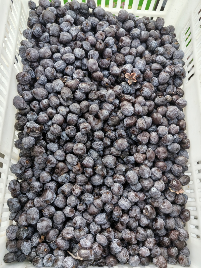 太行山无核黑枣