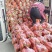 东台胡萝卜大量上市