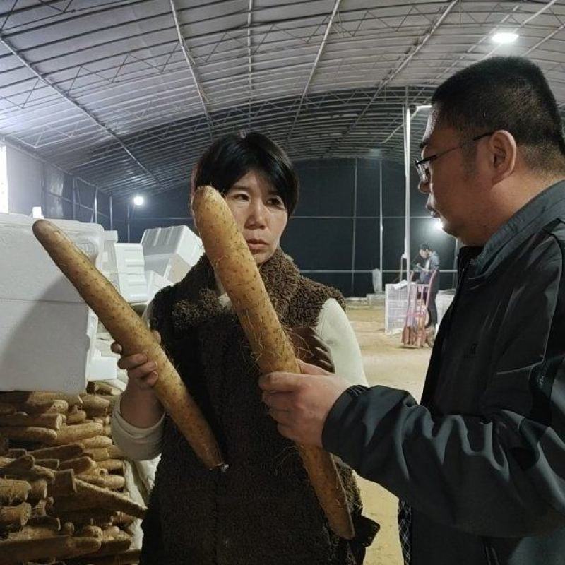精品山药