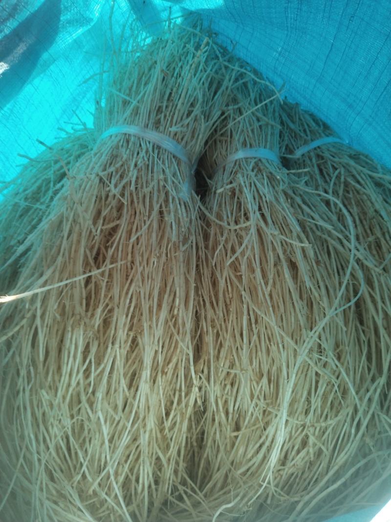 白茅根白茅根干水洗优质白茅根地道中药材白茅根