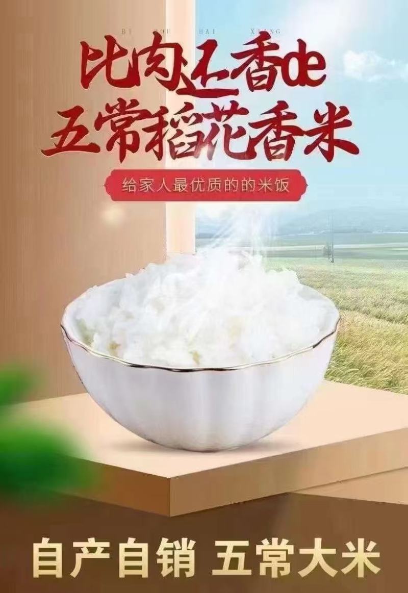 黑龙江大米稻花香大米供应，原产地直发货源充足全年供货