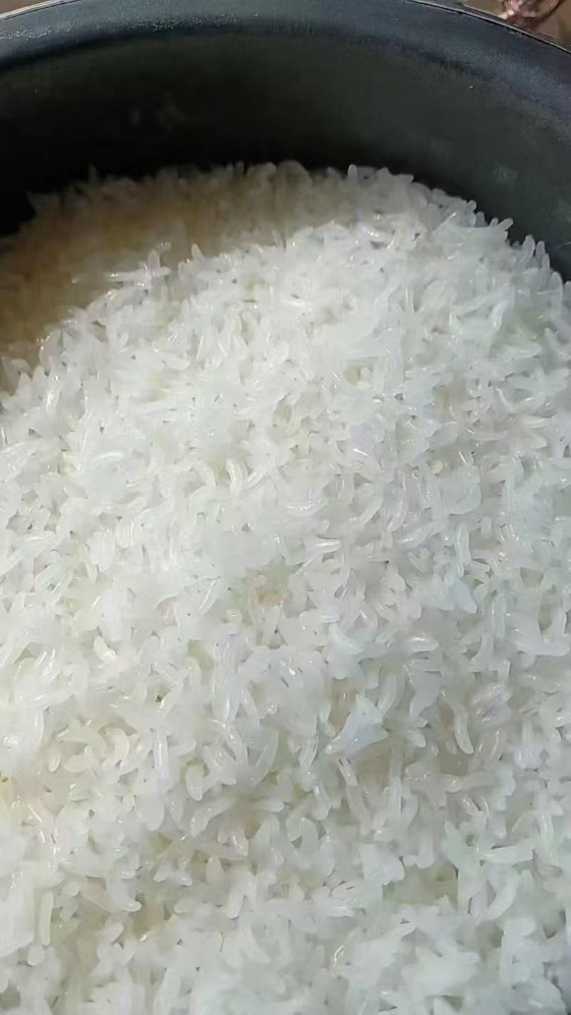 黑龙江大米稻花香大米供应，原产地直发货源充足全年供货