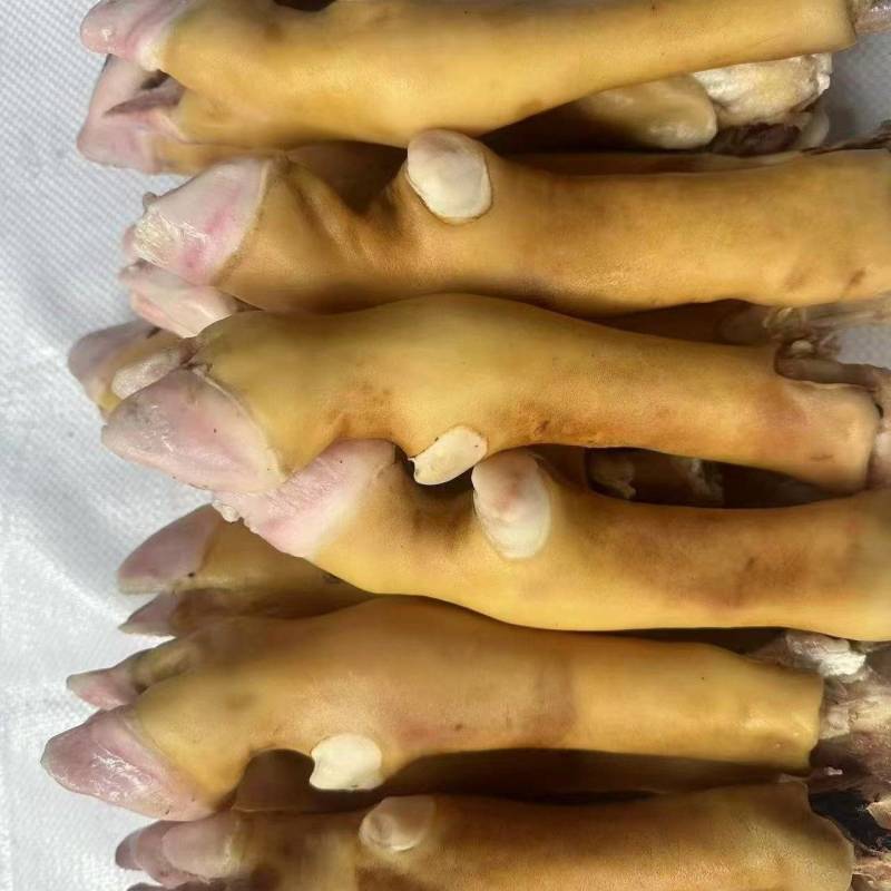 羊蹄