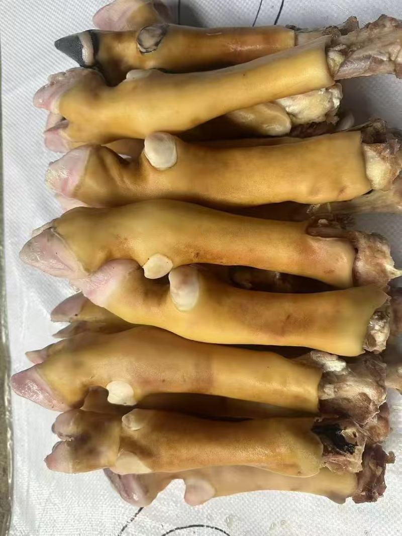 羊蹄