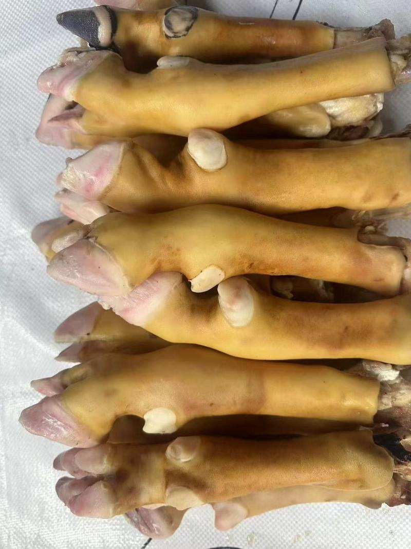 羊蹄