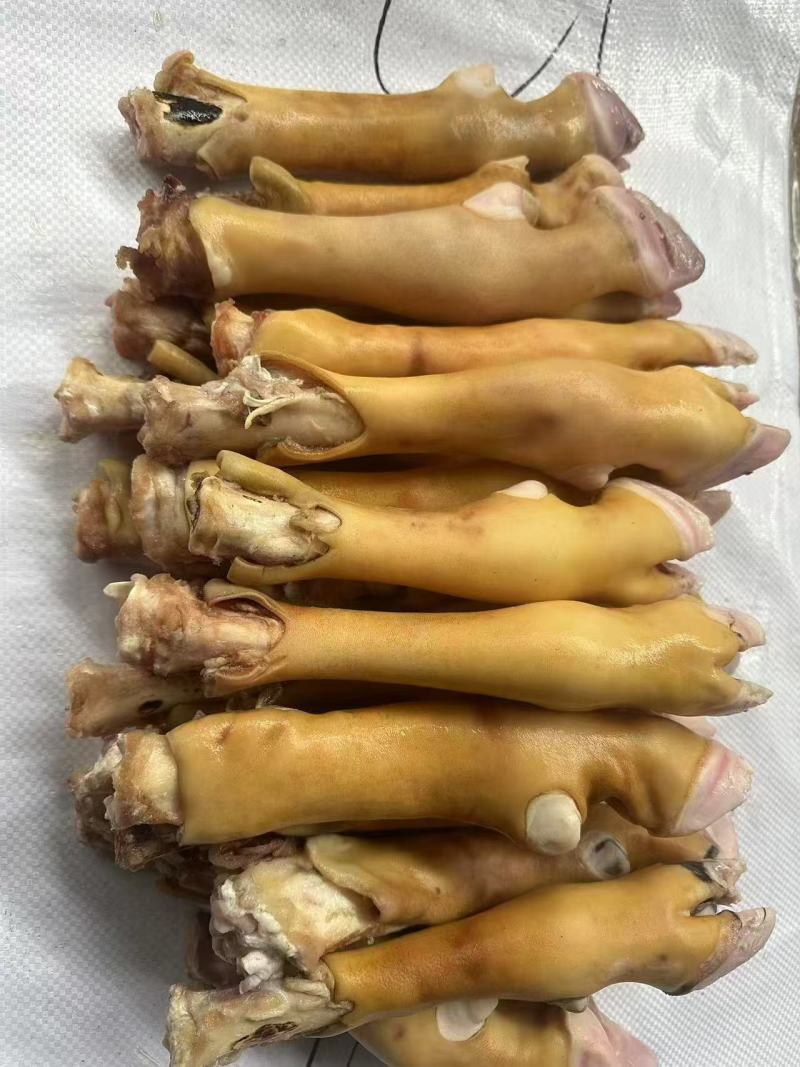 羊蹄