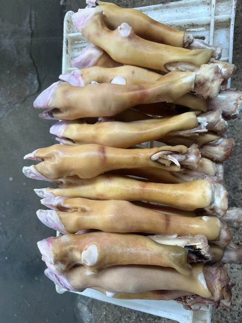 羊蹄