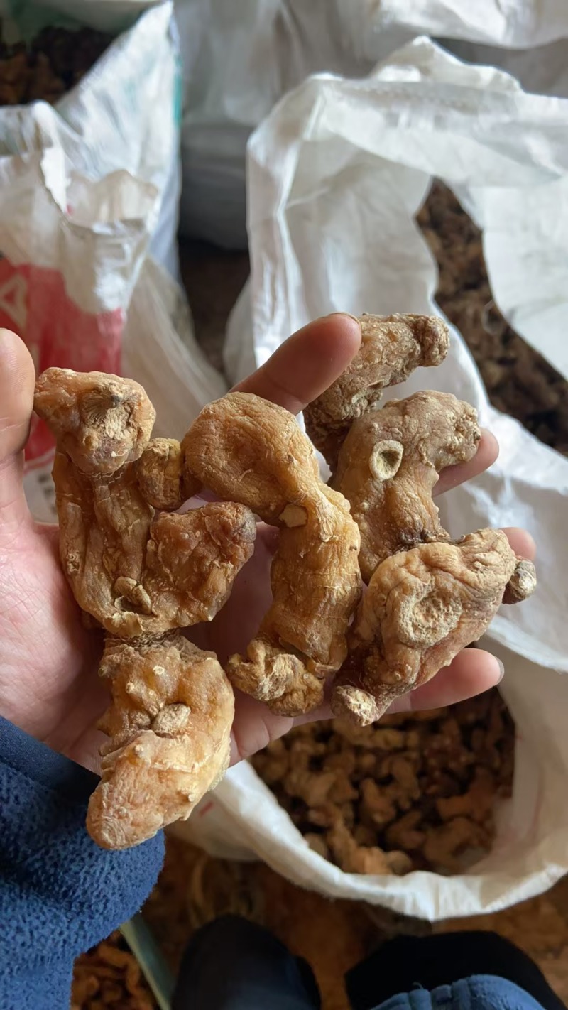 黄精干货，水洗去皮干黄精个子多花黄精干货