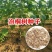 新采泡桐种子白花泡桐树大果泡桐空桐木水桐桐木树紫花泡桐