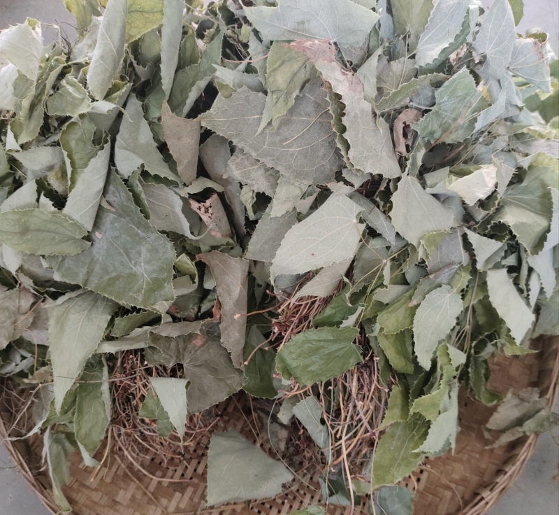 淫羊藿柔毛淫羊藿淫羊藿干货一手货源产地直发